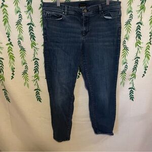 Size 12 Ann Taylor Factory Modern Skinny Jeans D1